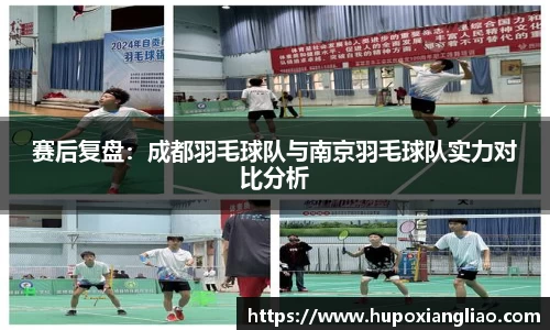 赛后复盘：成都羽毛球队与南京羽毛球队实力对比分析