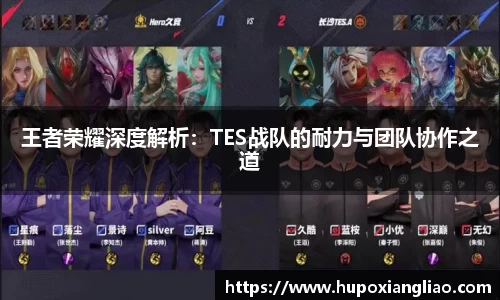 王者荣耀深度解析：TES战队的耐力与团队协作之道